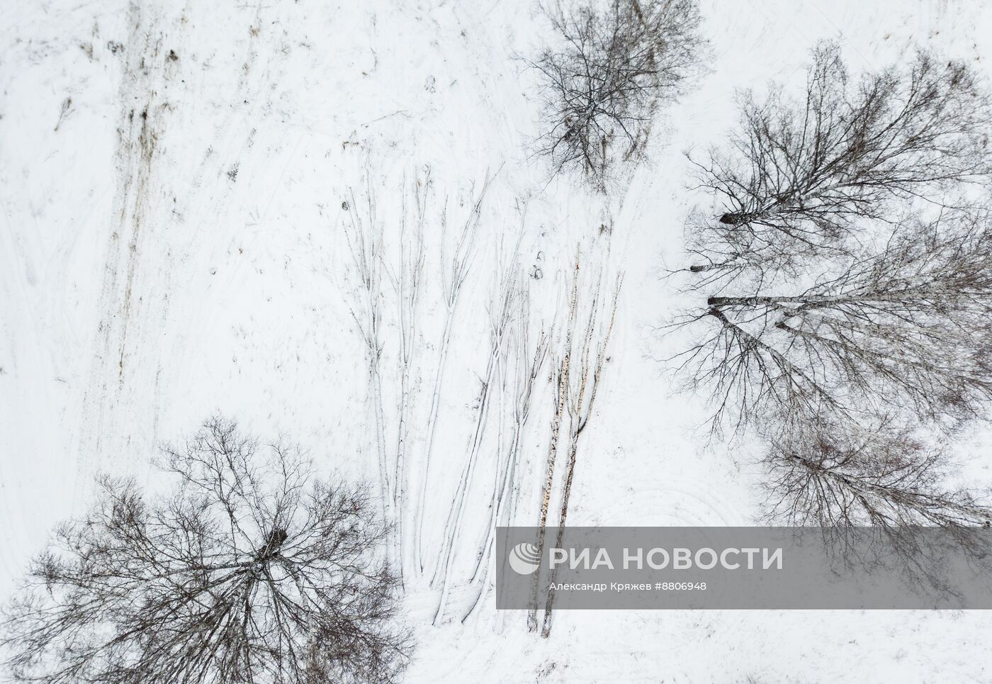 Заготовка дров в Новосибирской области