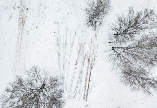 Заготовка дров в Новосибирской области