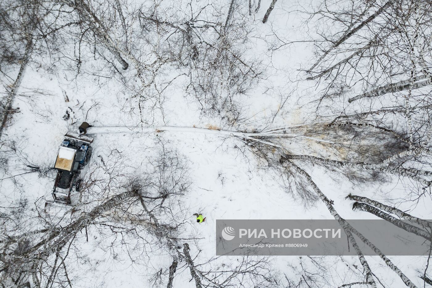 Заготовка дров в Новосибирской области