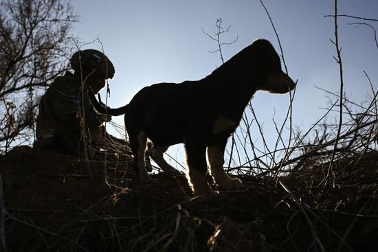 Работа мобильной группы воздушного наблюдения в Запорожской области