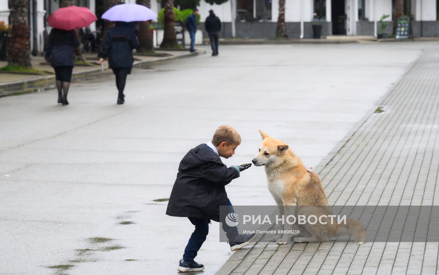 Повседневная жизнь