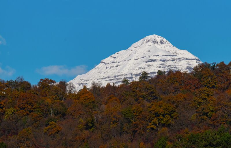 Краски осени