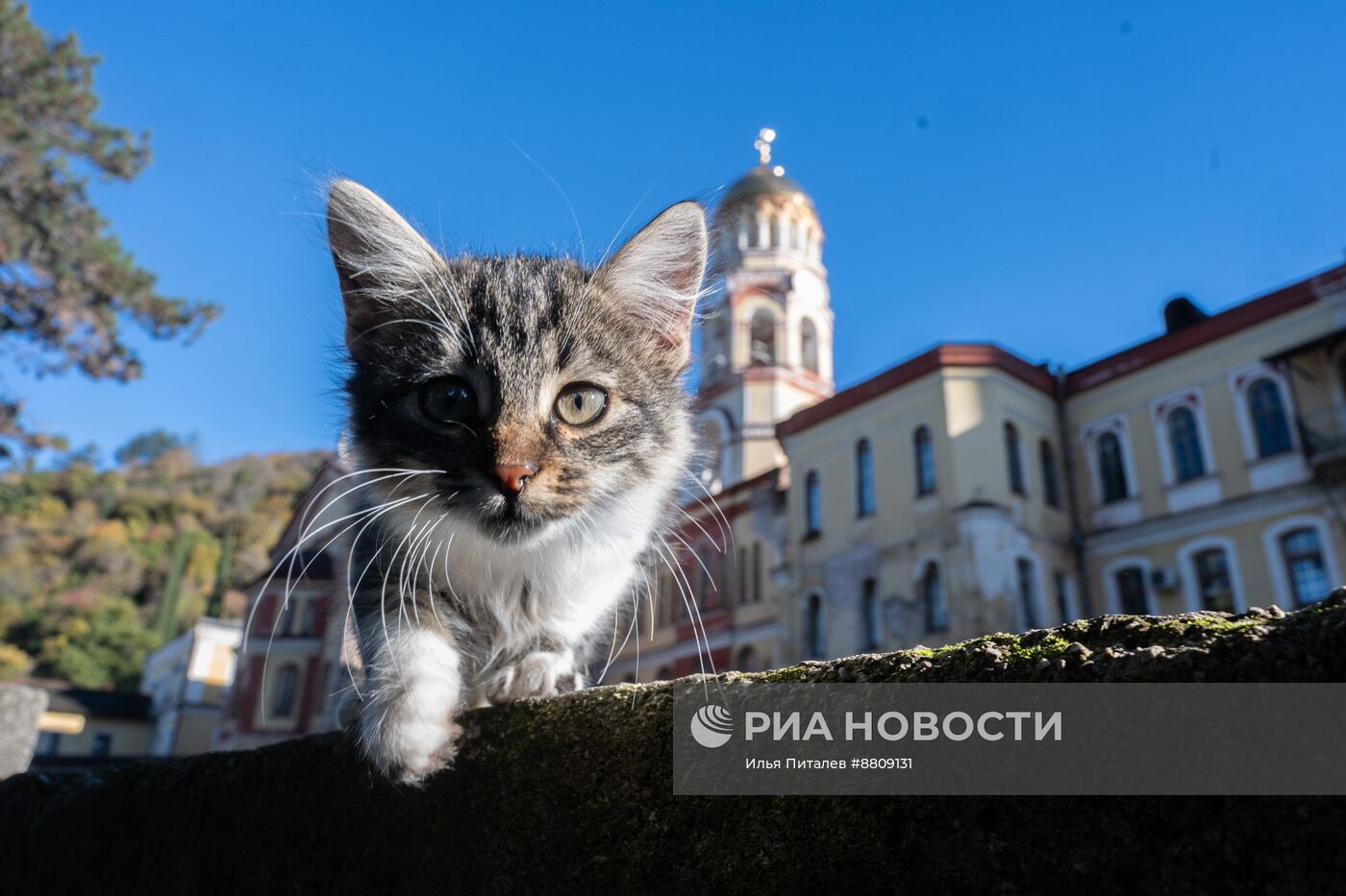 Достопримечательности Нового Афона в Абхазии