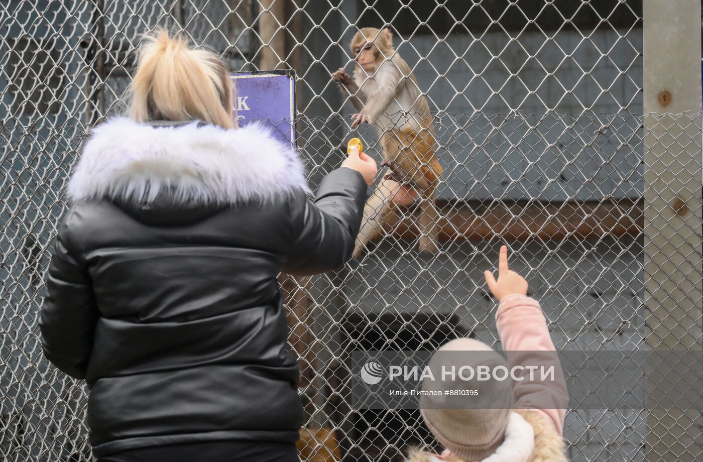 Сухумский обезьяний питомник