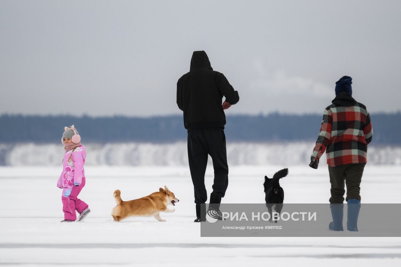 Буерный спорт в Новосибирской области