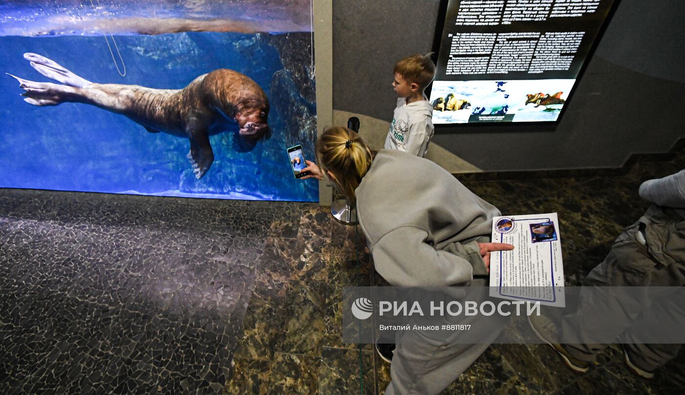 День моржа во Владивостоке