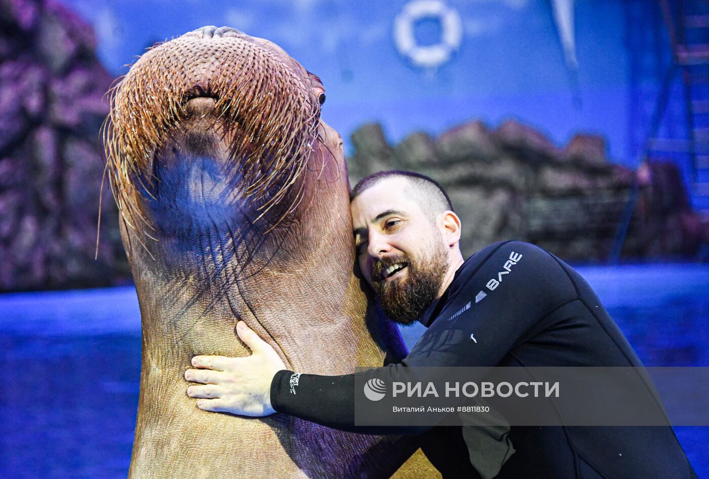 День моржа во Владивостоке