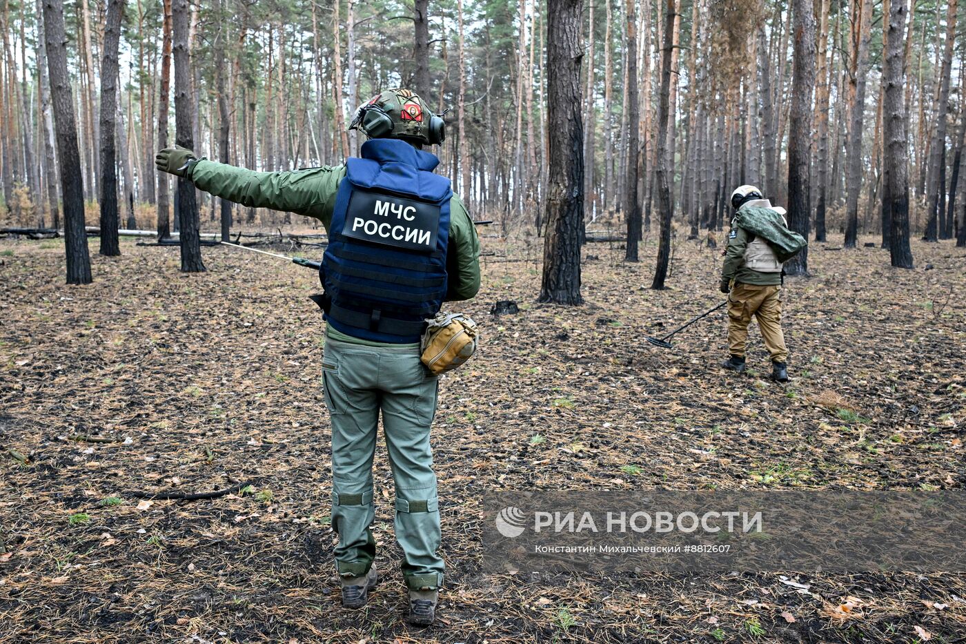 Работа сводного отряда разминирования МЧС РФ в Курской области