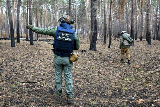 Работа сводного отряда разминирования МЧС РФ в Курской области