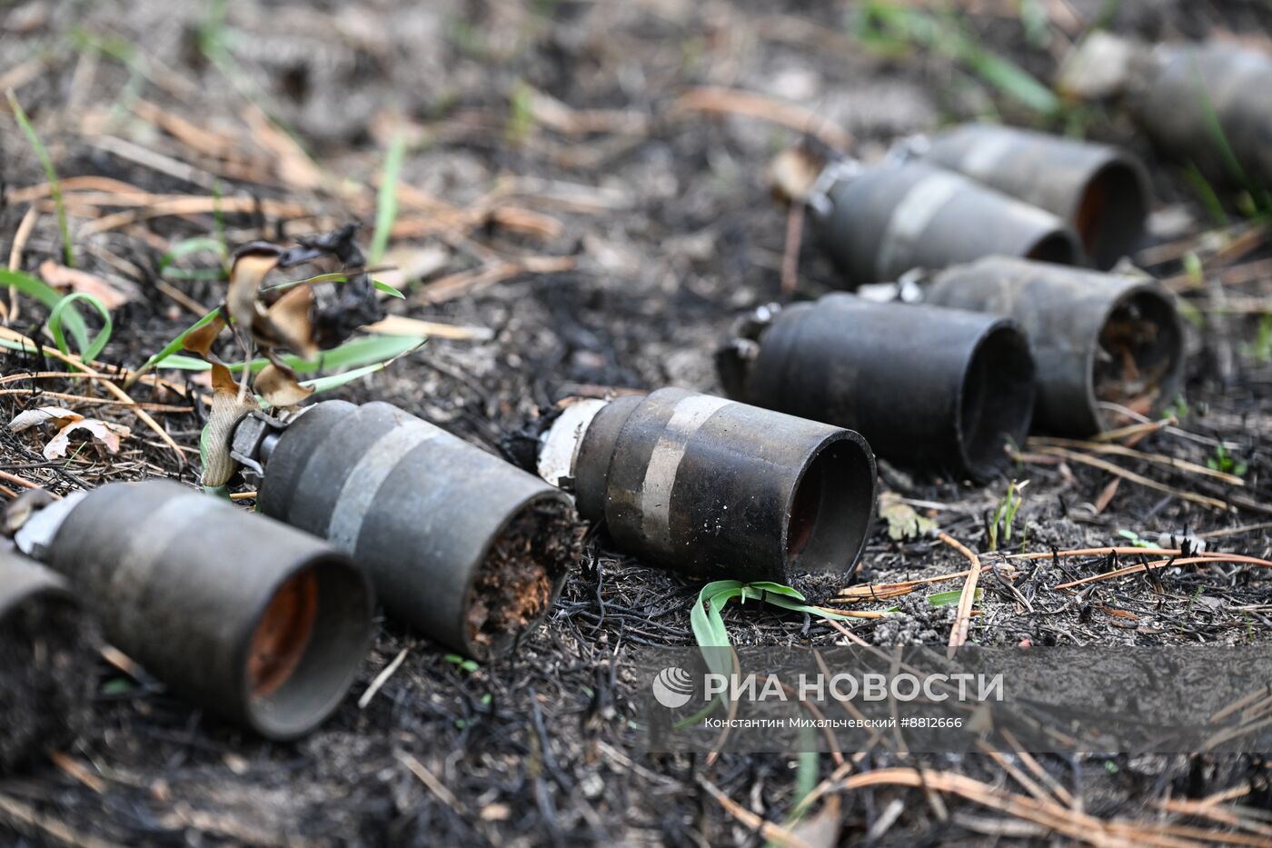 Работа сводного отряда разминирования МЧС РФ в Курской области