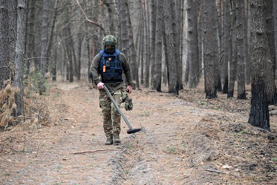 Работа сводного отряда разминирования МЧС РФ в Курской области