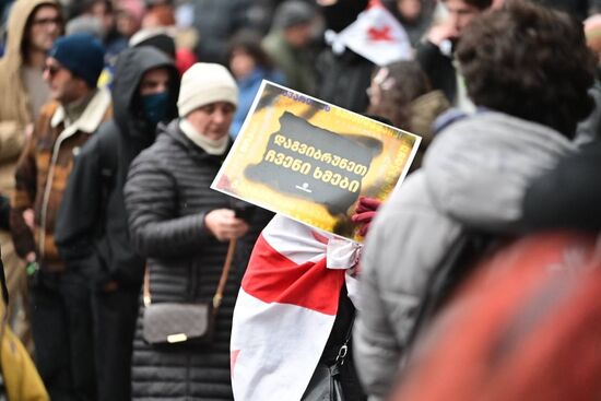 Митинг оппозиции в Тбилиси