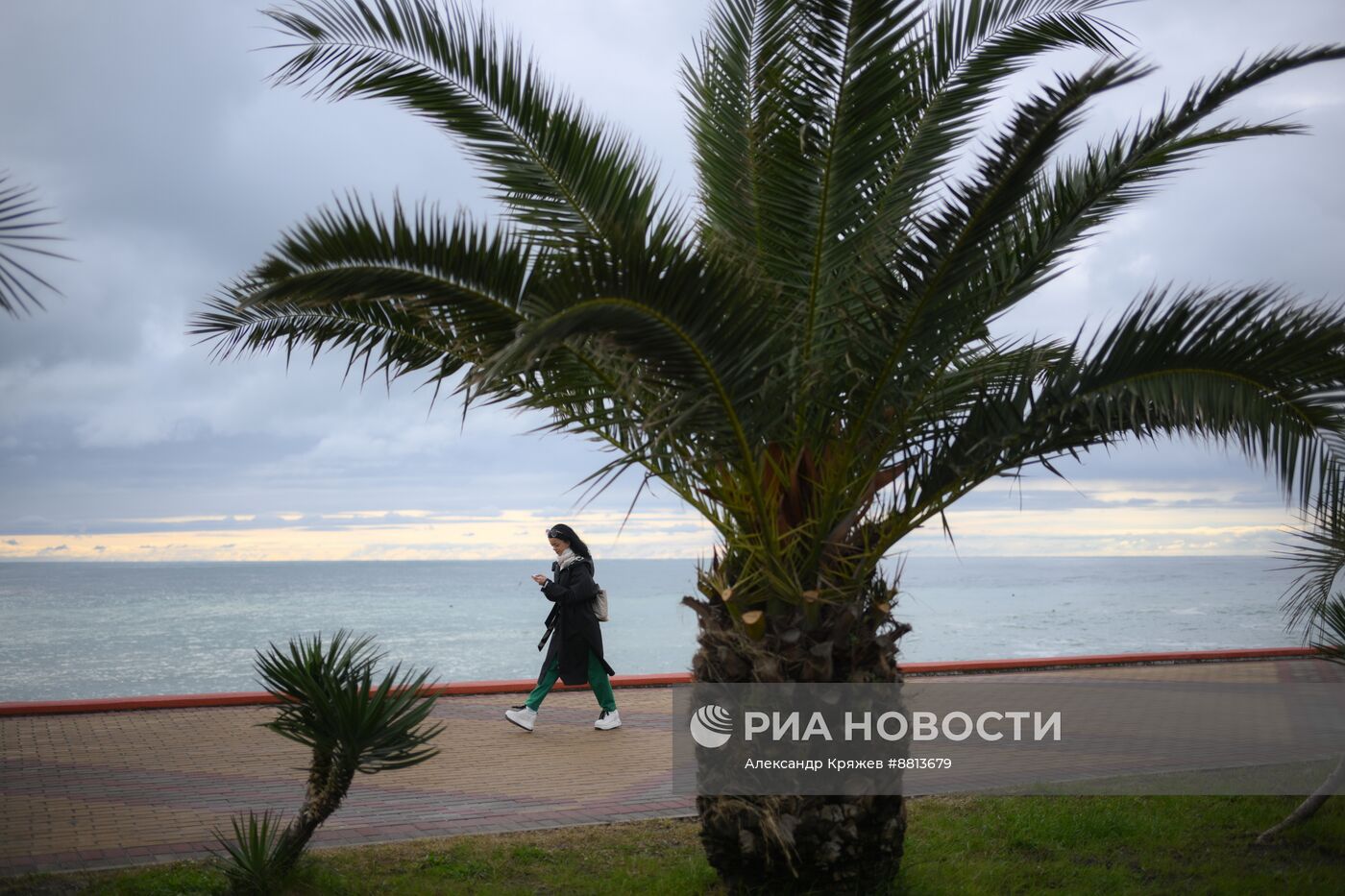 Повседневная жизнь в Сириусе