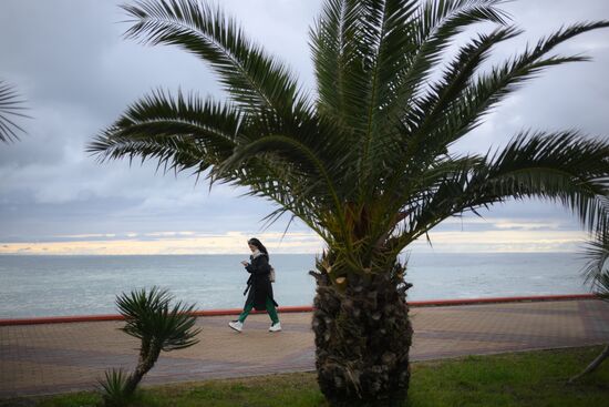Повседневная жизнь в Сириусе