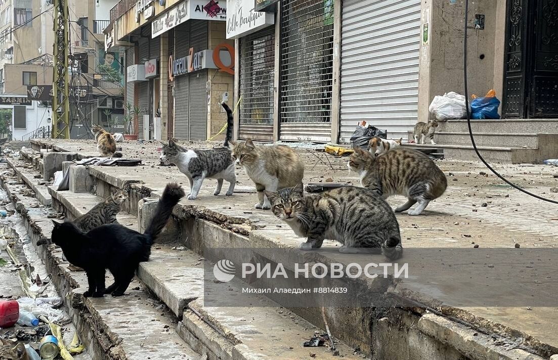 Мирные жители массово возвращаются после объявления о прекращения огня с Израилем