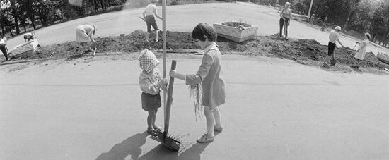 Субботник в городском парке Новокосино