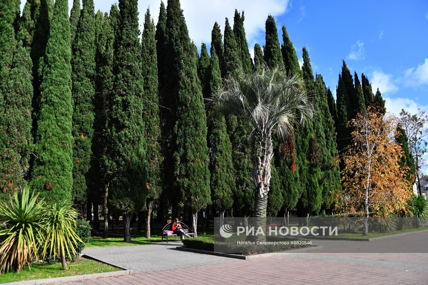 Виды города