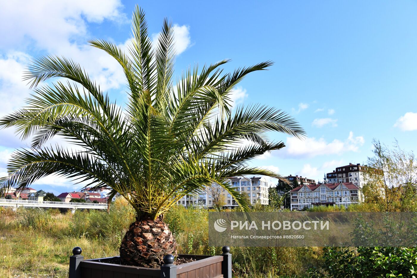 Виды города