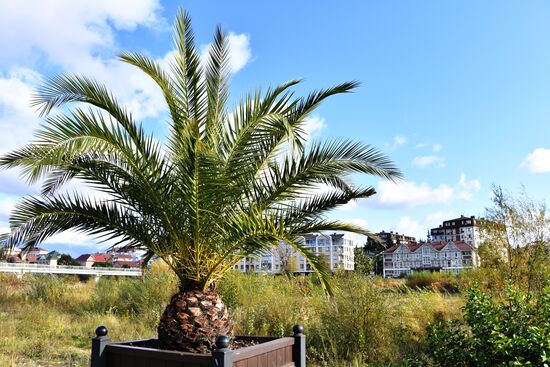 Виды города