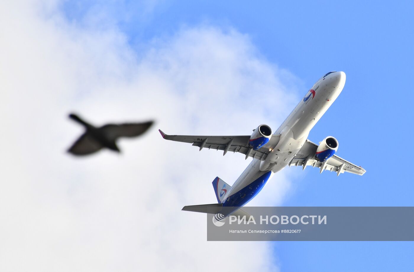 Самолет Airbus A321-251NX