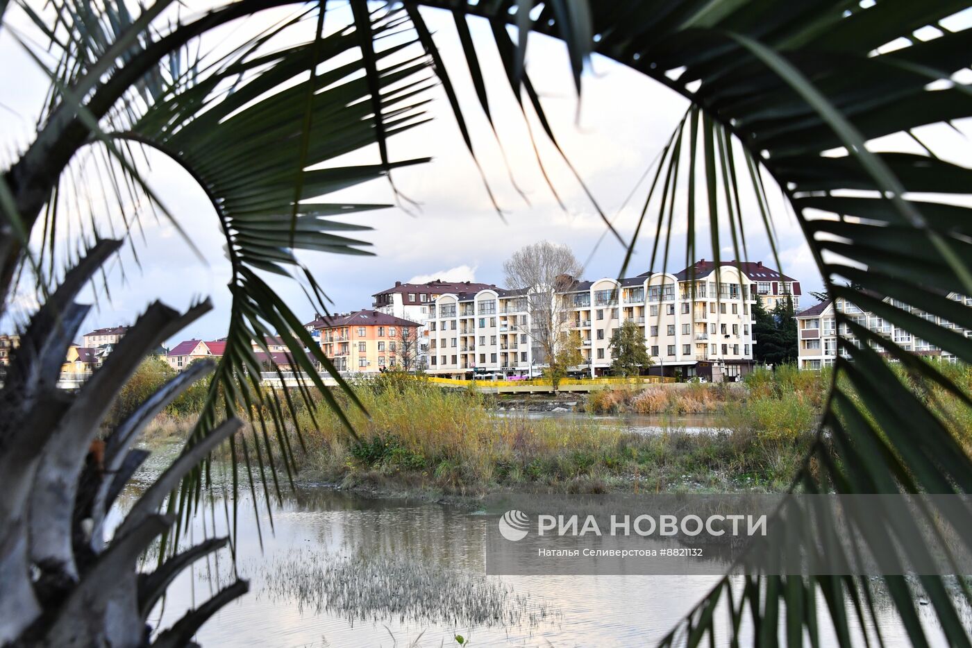 Виды Адлера