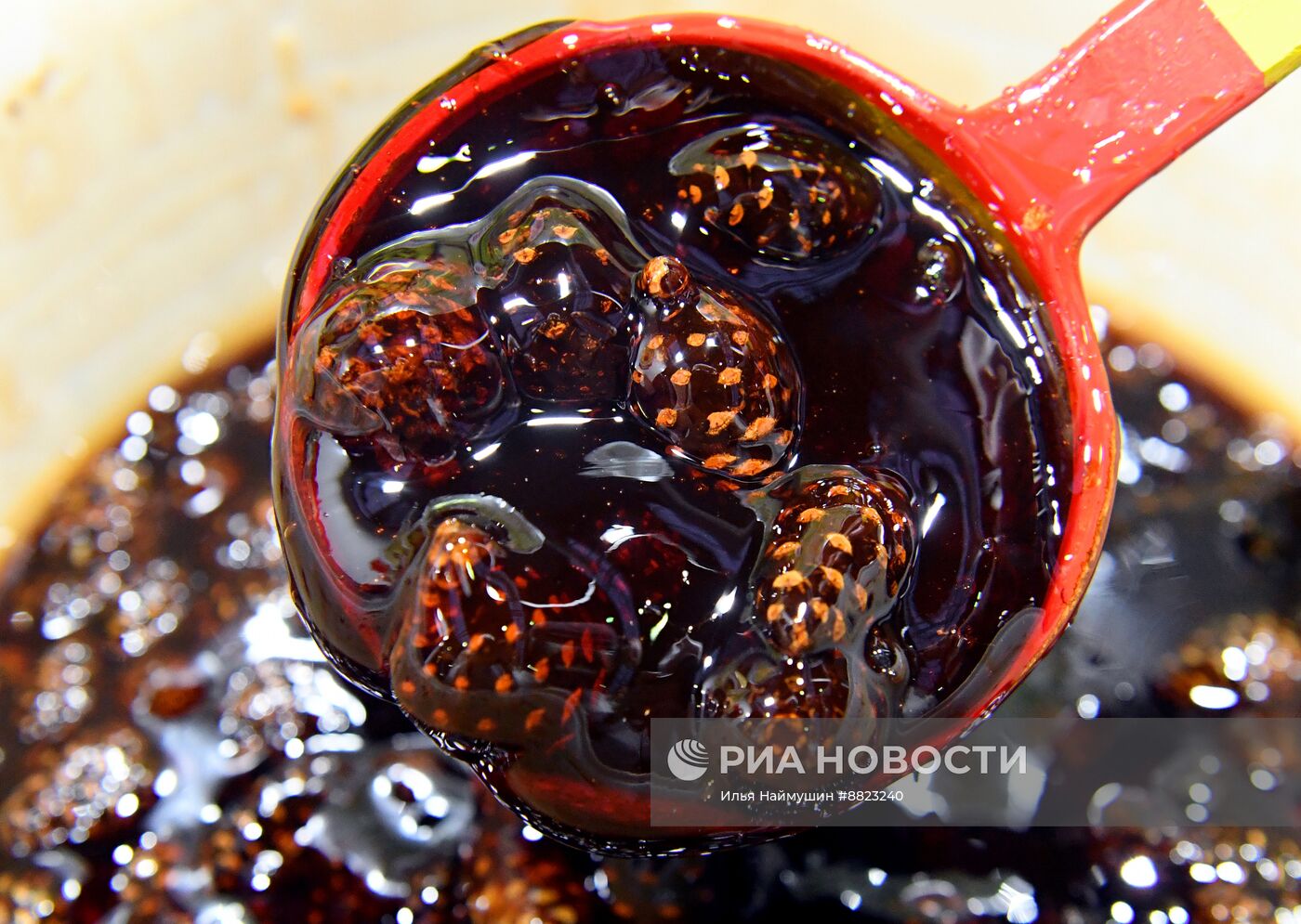 Продовольственная ярмарка в Красноярске