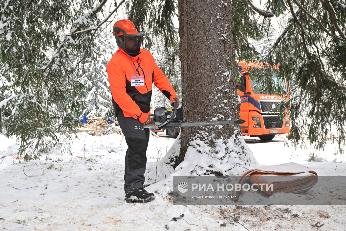 Рубка главной новогодней елки