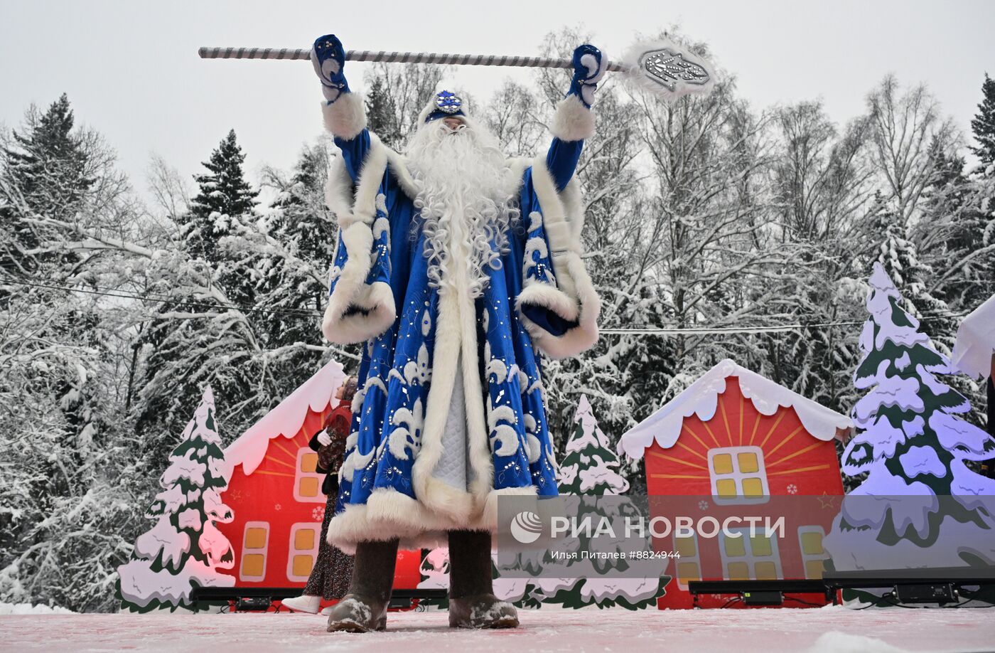 Рубка главной новогодней елки