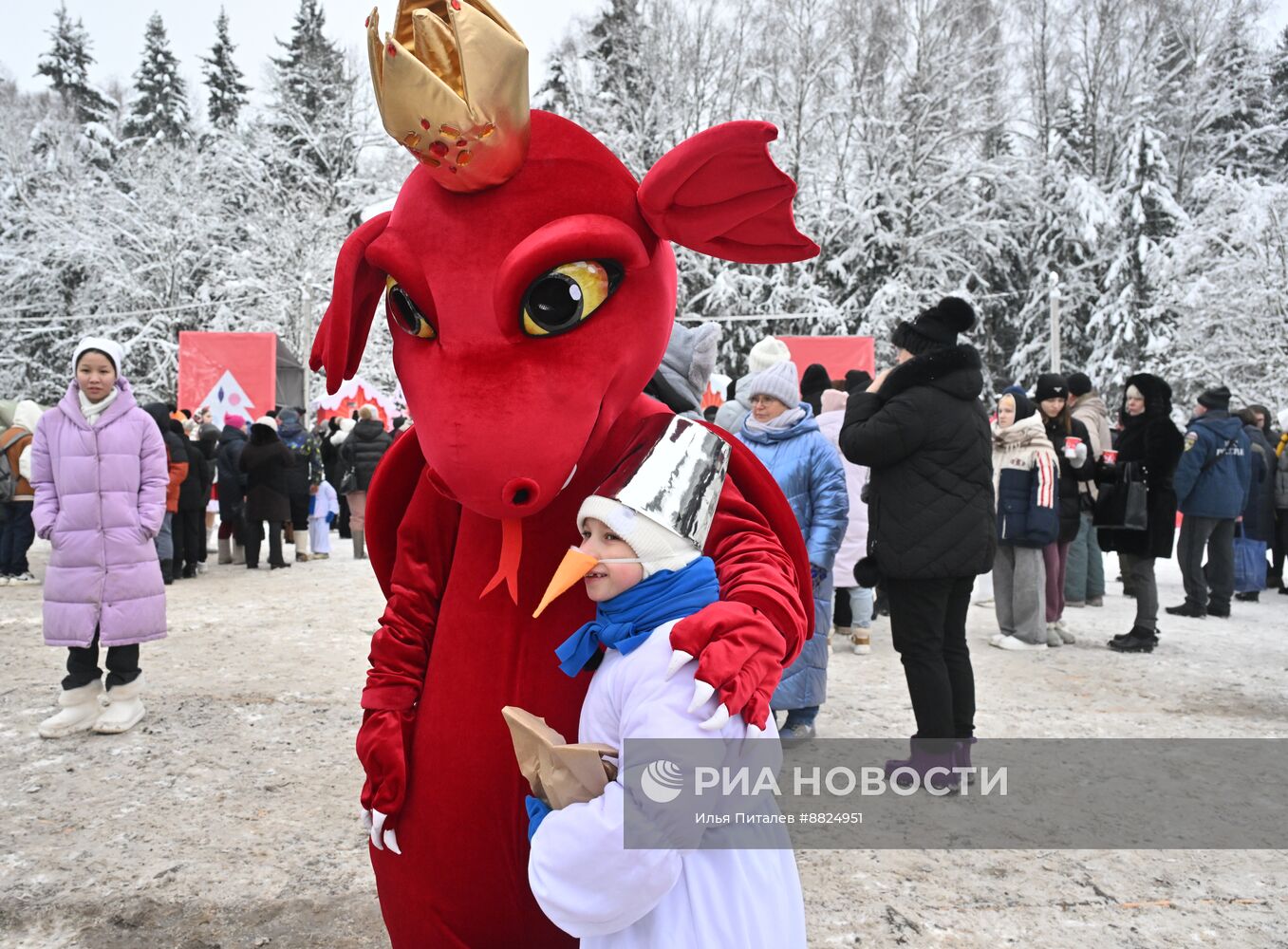 Рубка главной новогодней елки