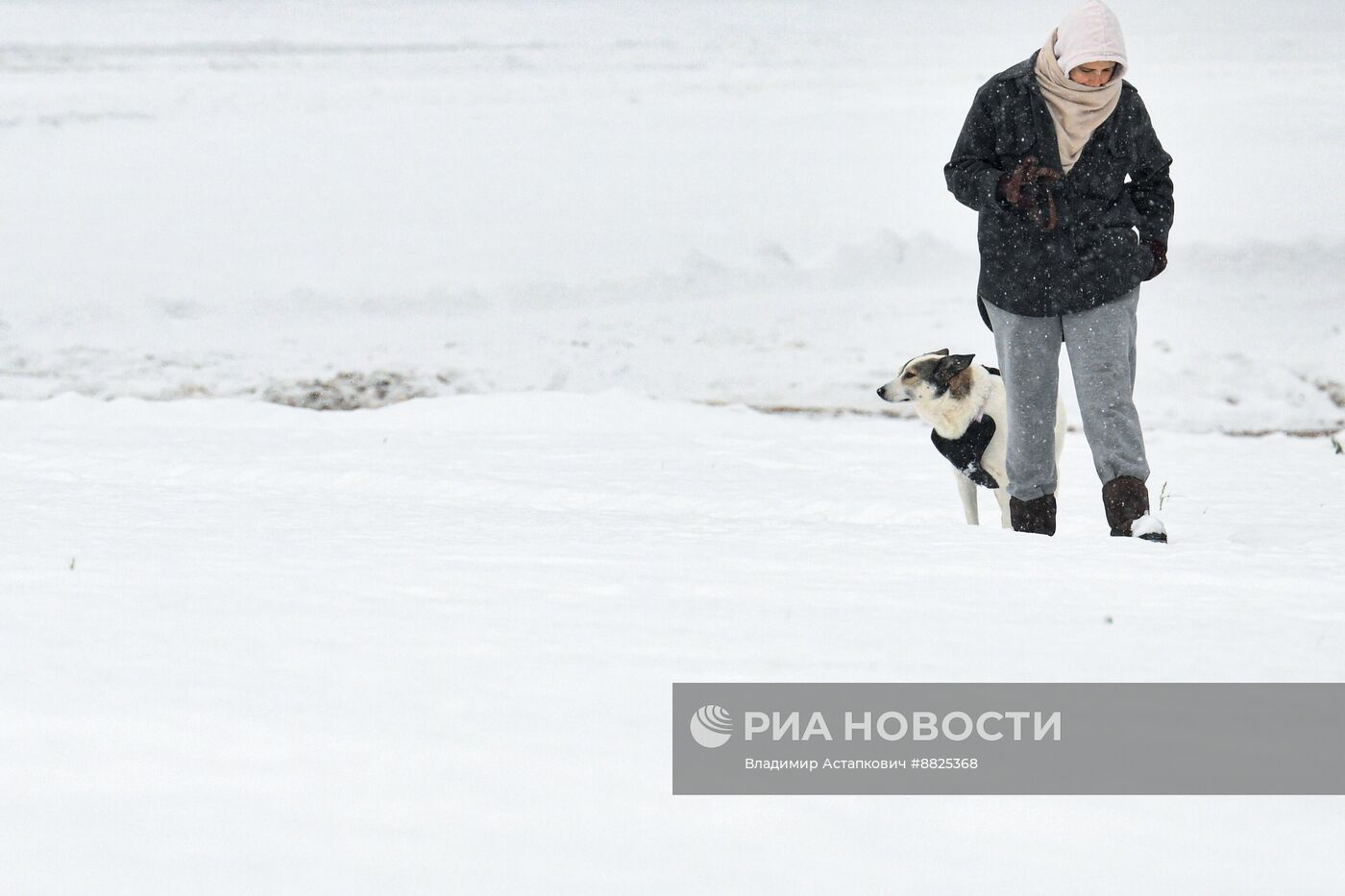 Снег в Москве