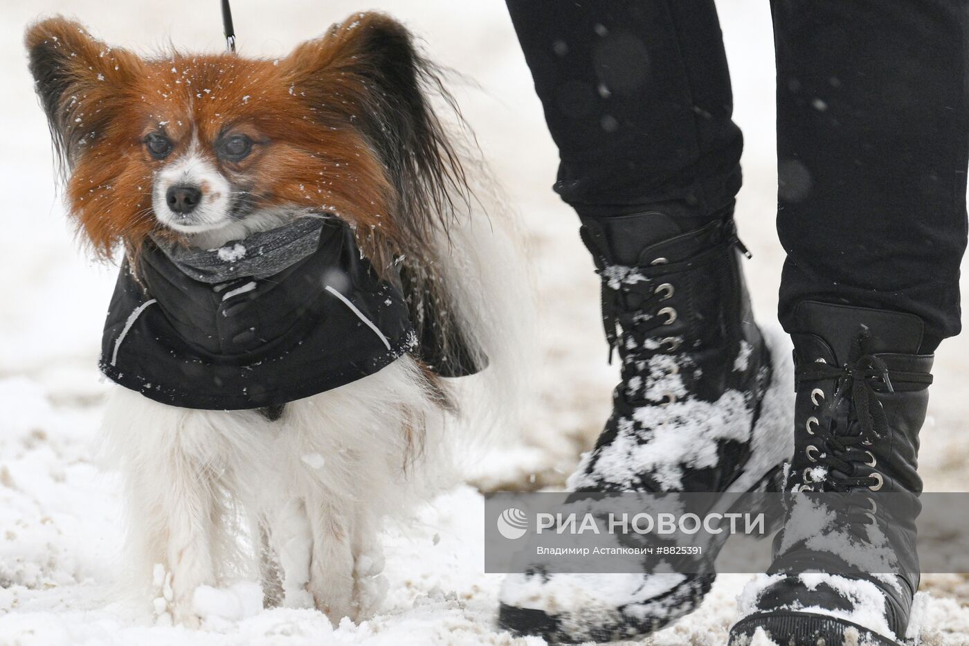 Снег в Москве