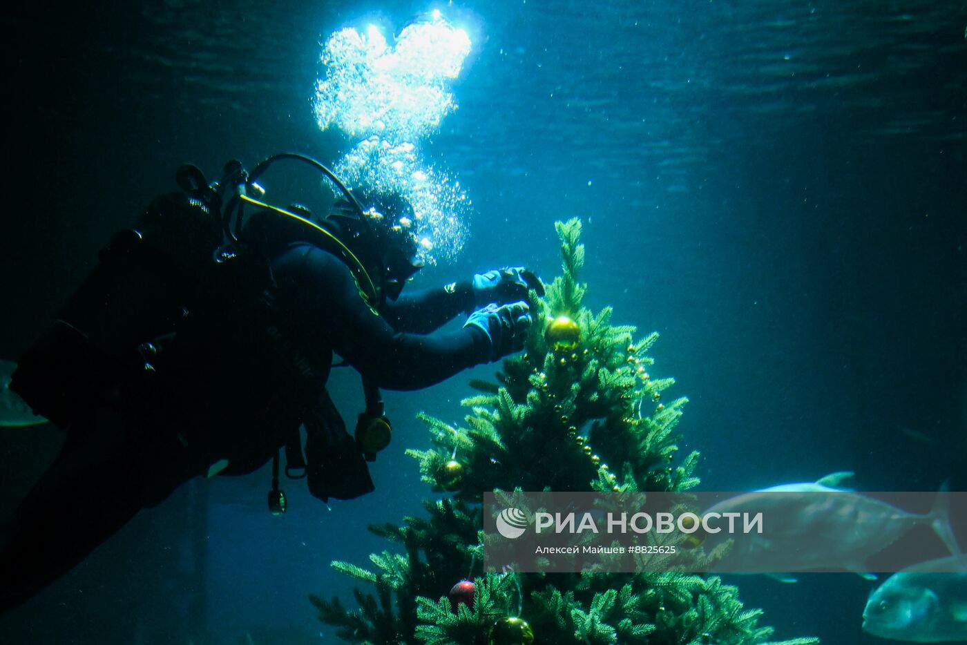 Новогодняя елка в Москвариуме