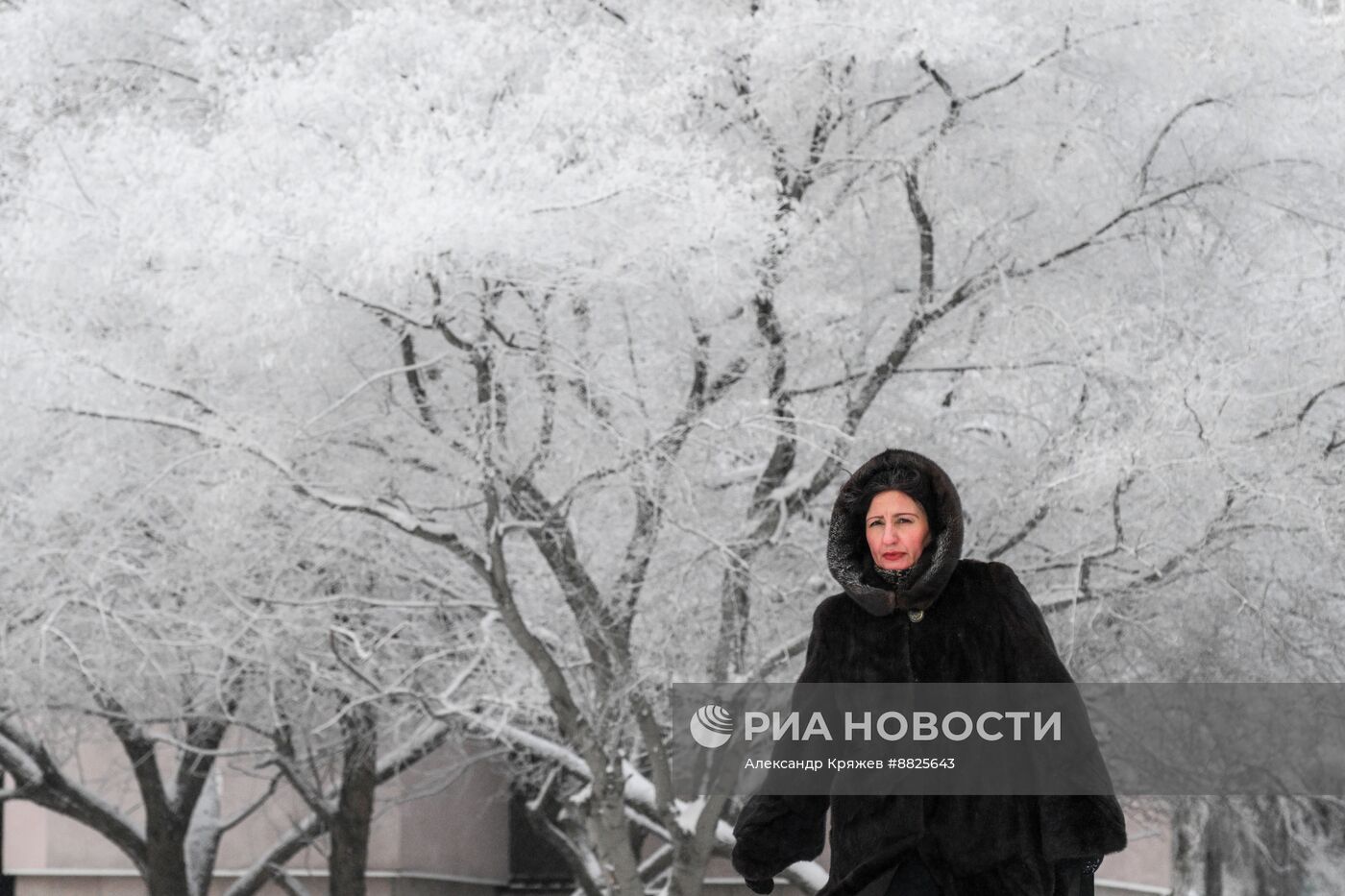 Зима в Новосибирске