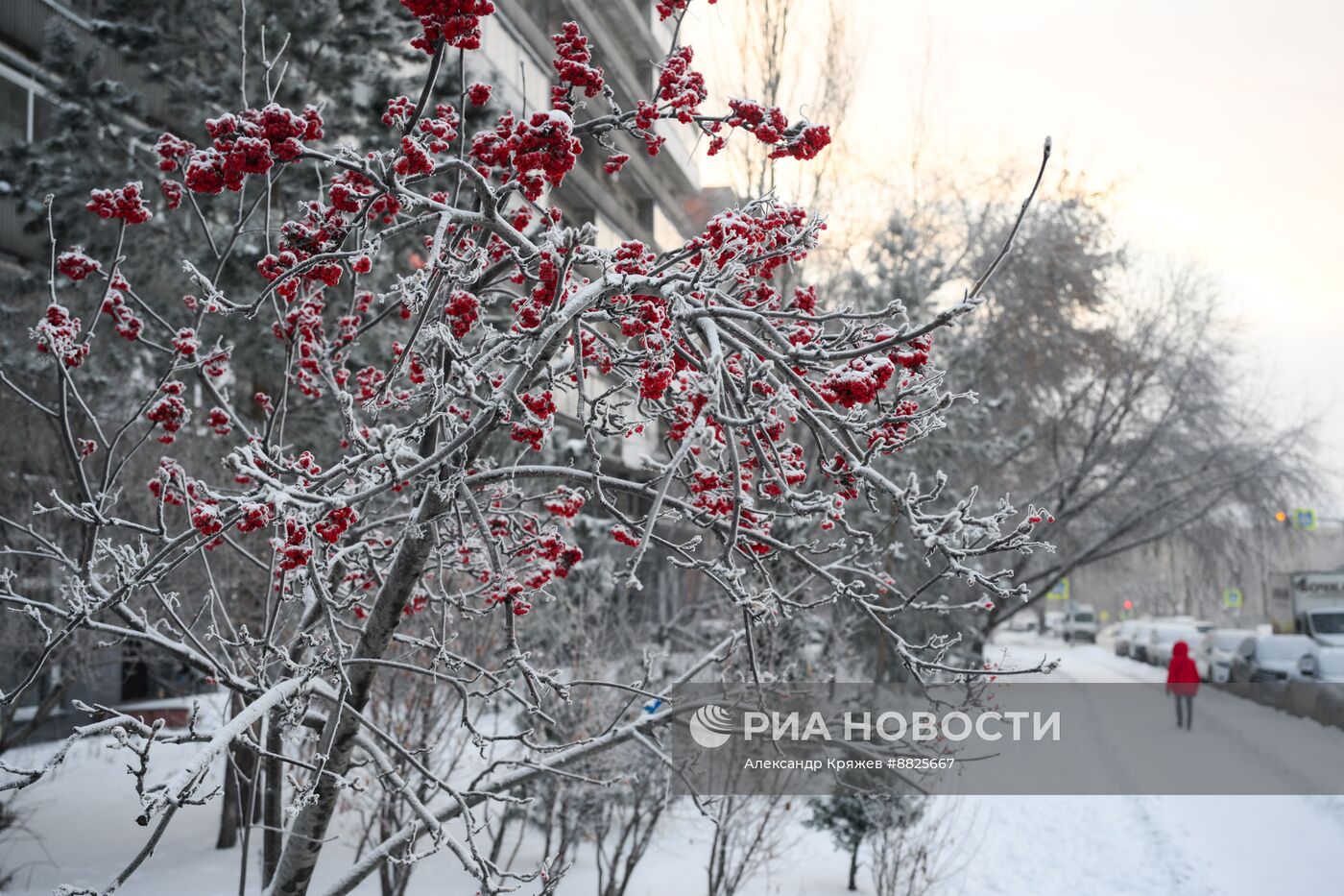 Зима в Новосибирске