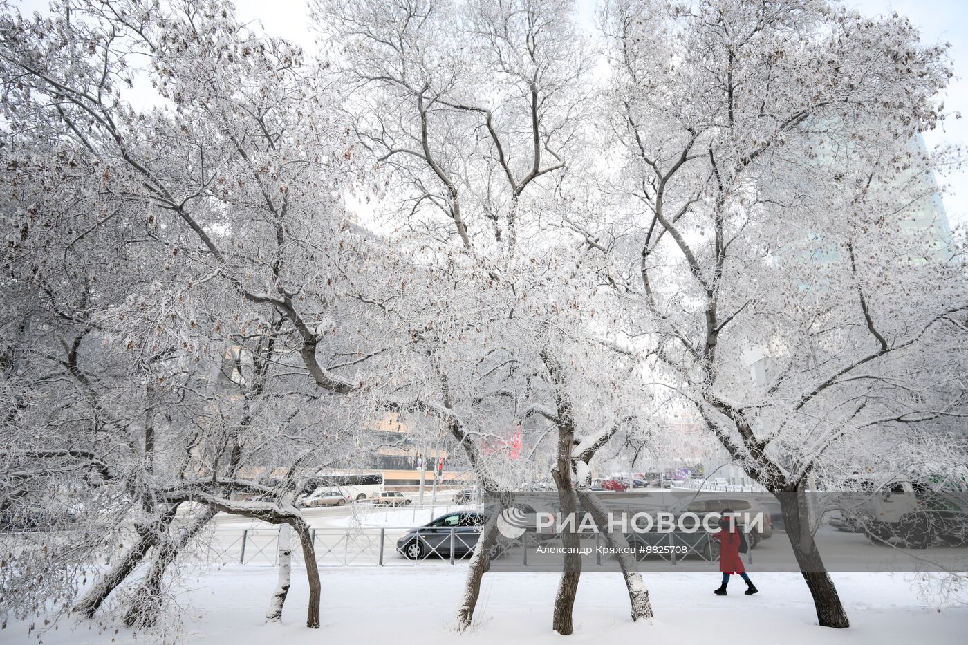 Зима в Новосибирске