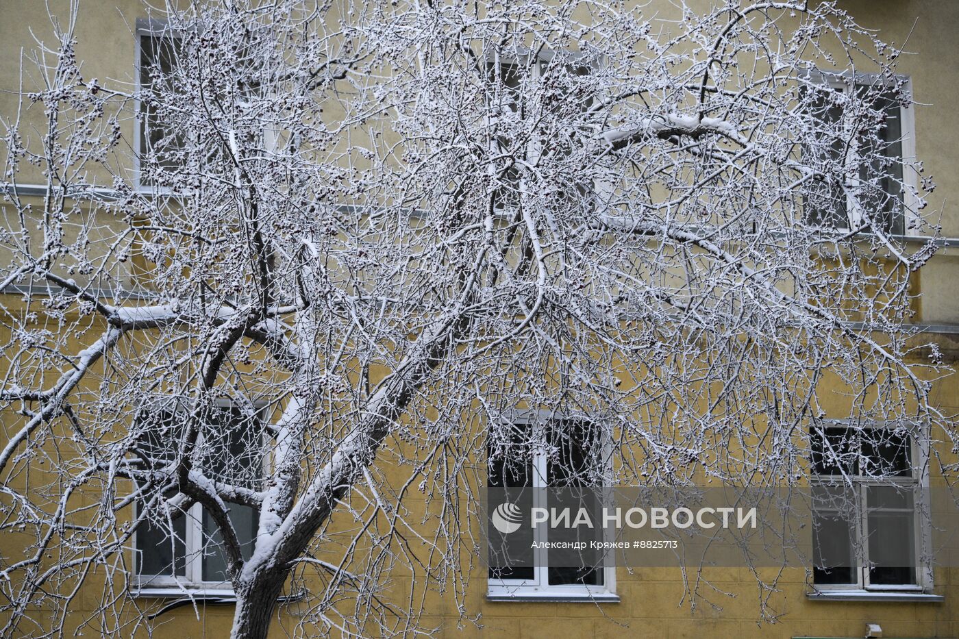 Зима в Новосибирске