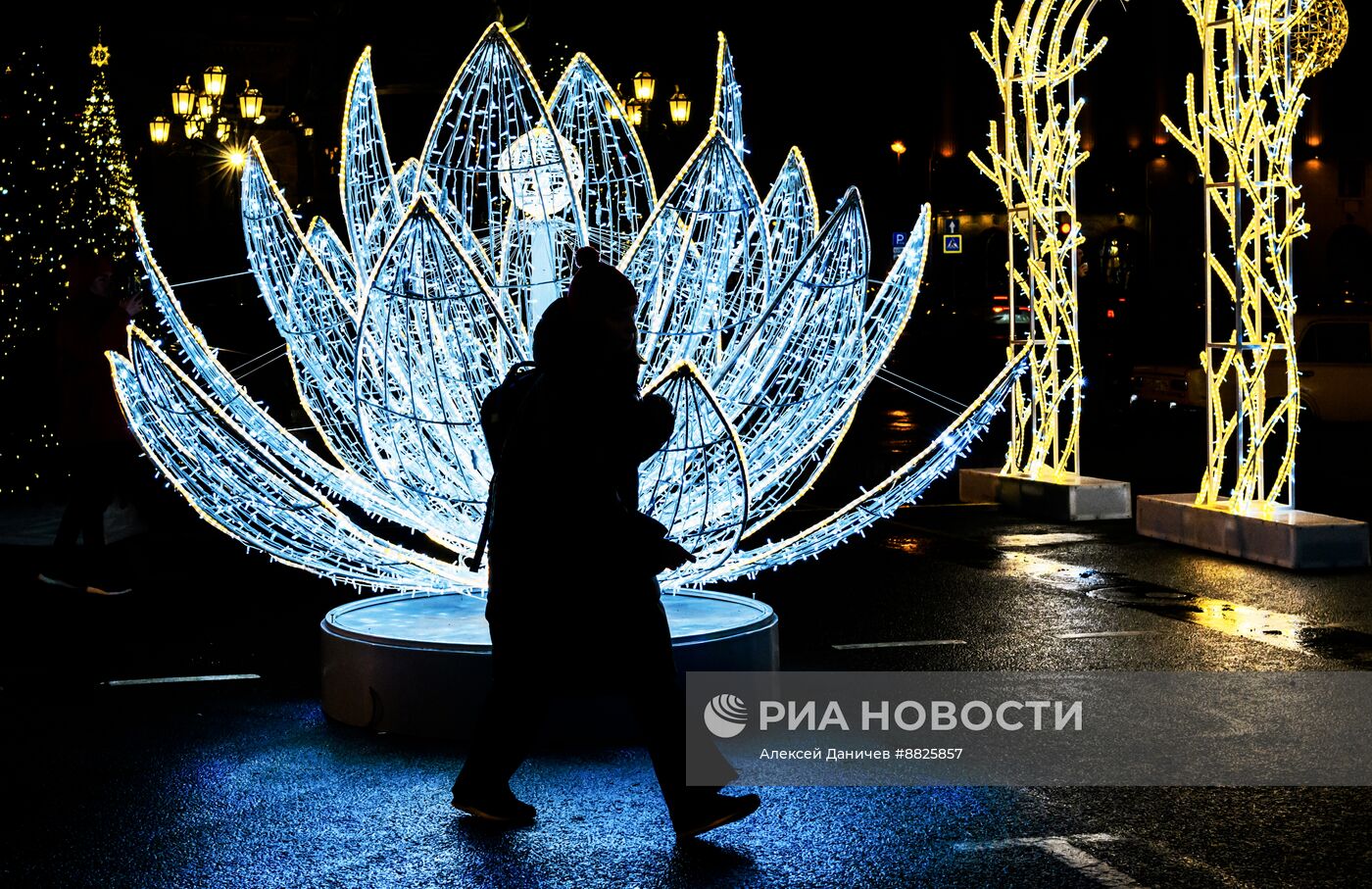 Зимний сад в Санкт-Петербурге