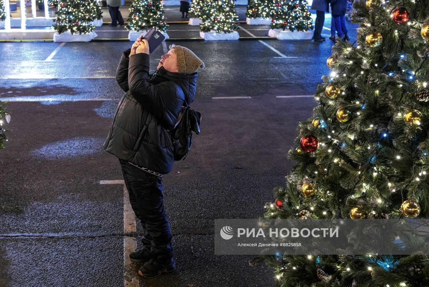 Зимний сад в Санкт-Петербурге