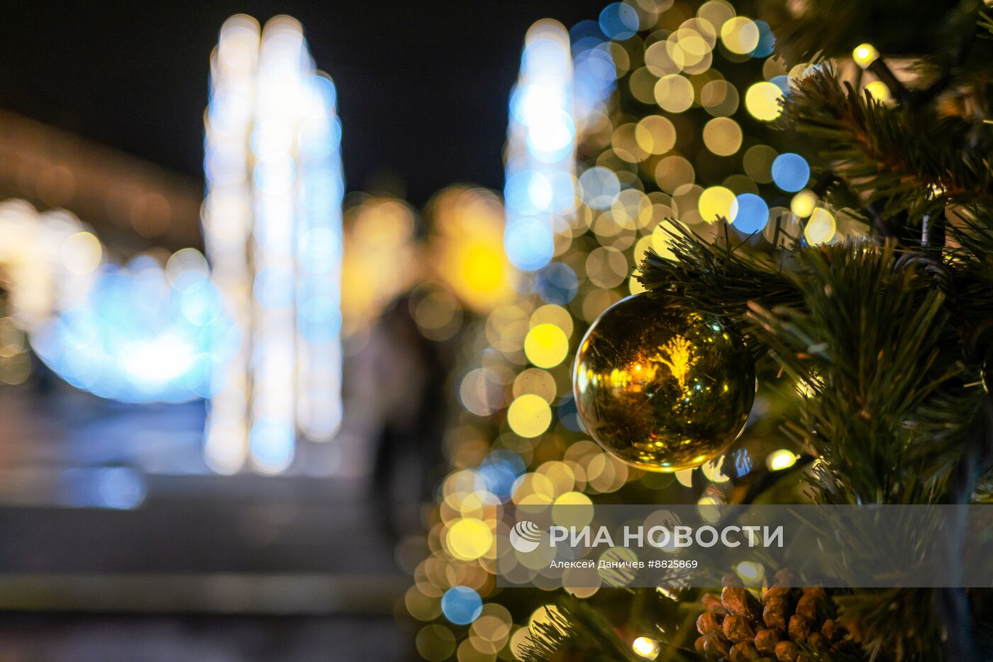 Зимний сад в Санкт-Петербурге