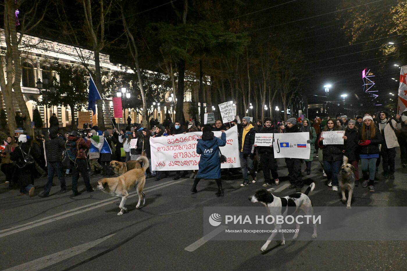 Протесты в Тбилиси