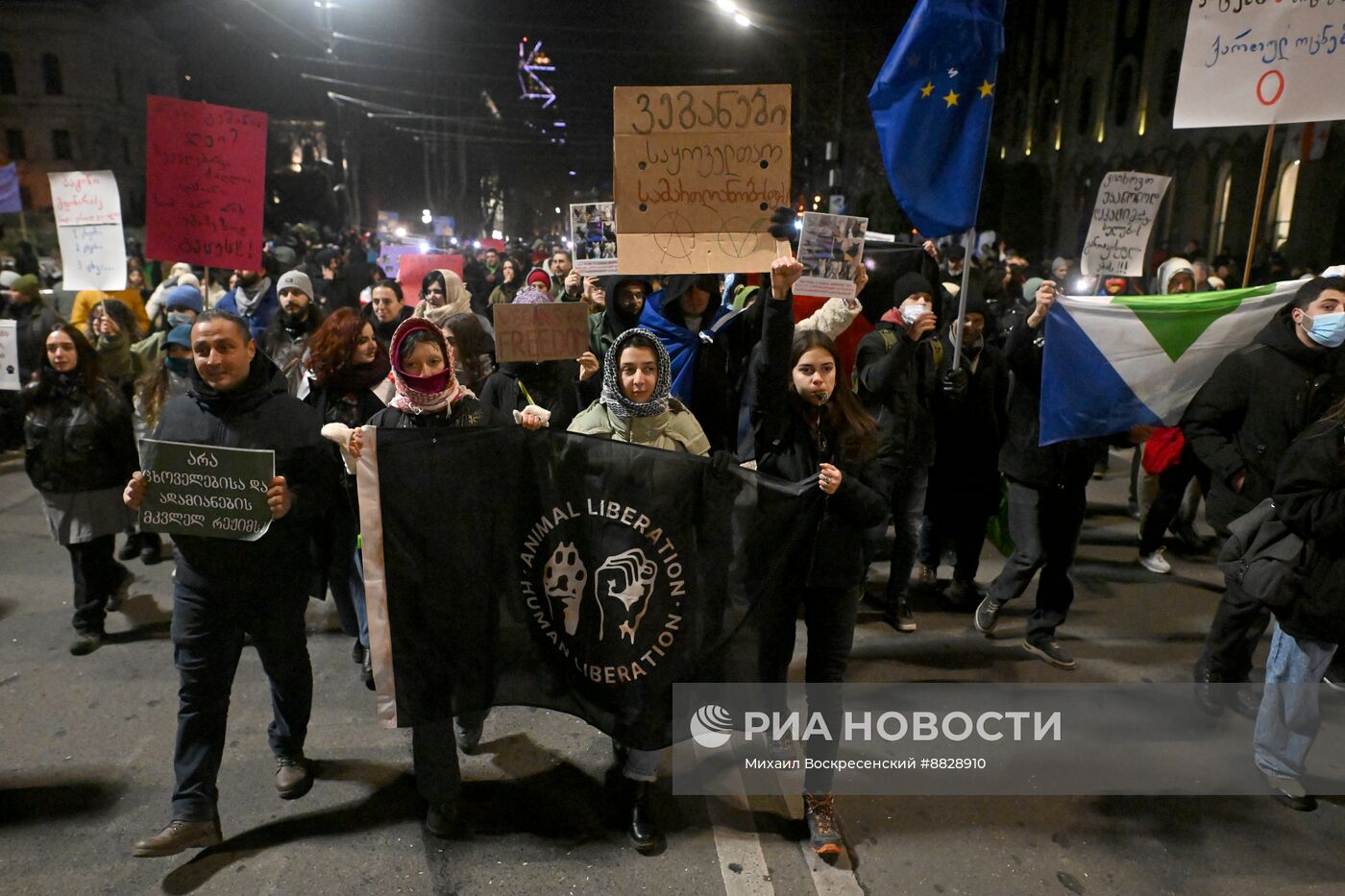 Протесты в Тбилиси