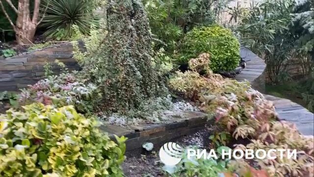 Бывший особняк Копайгородского начал принимать на реабилитацию первых постояльцев