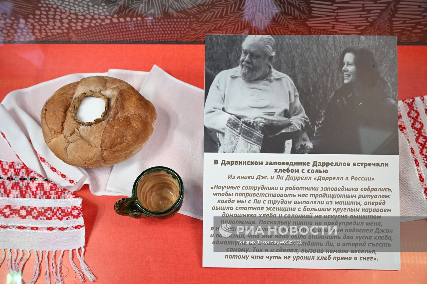 Презентация новых выставок в Дарвиновском музее 