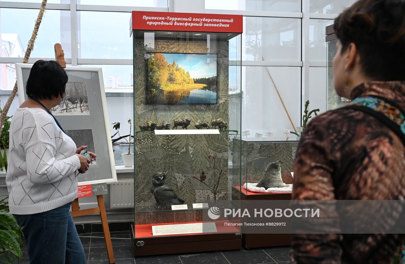 Презентация новых выставок в Дарвиновском музее
