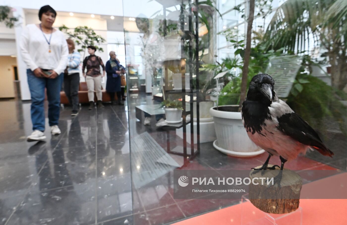 Презентация новых выставок в Дарвиновском музее 