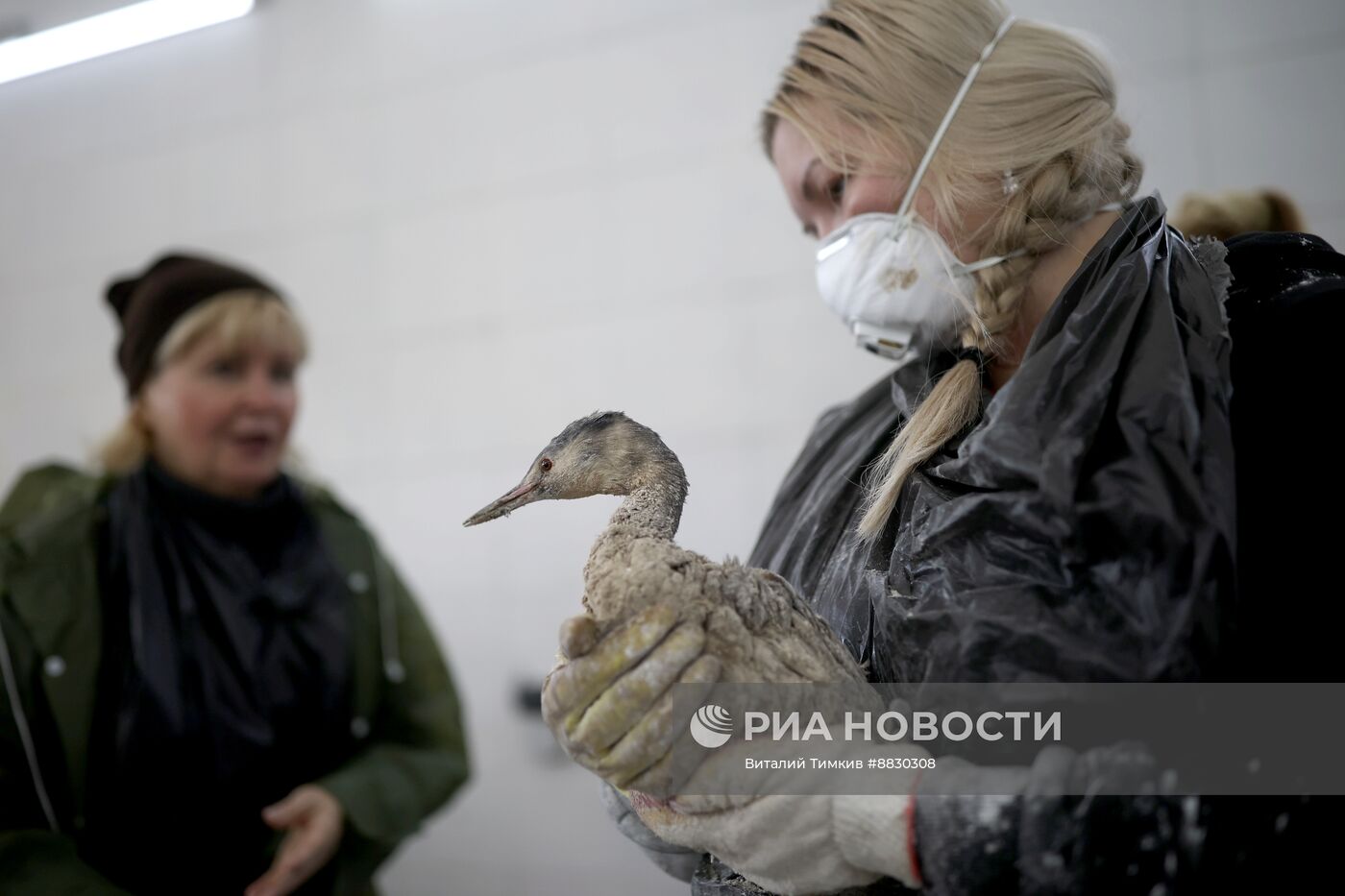 Режим ЧС введен во всей Анапе после разлива нефтепродуктов