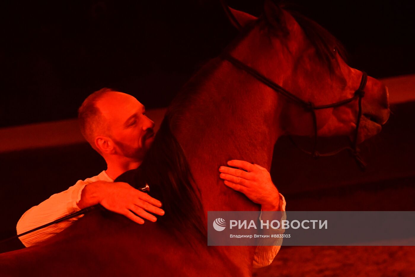 Репетиция спектакля "Мир на двоих" Конного театра Кремлевской школы верховой езды