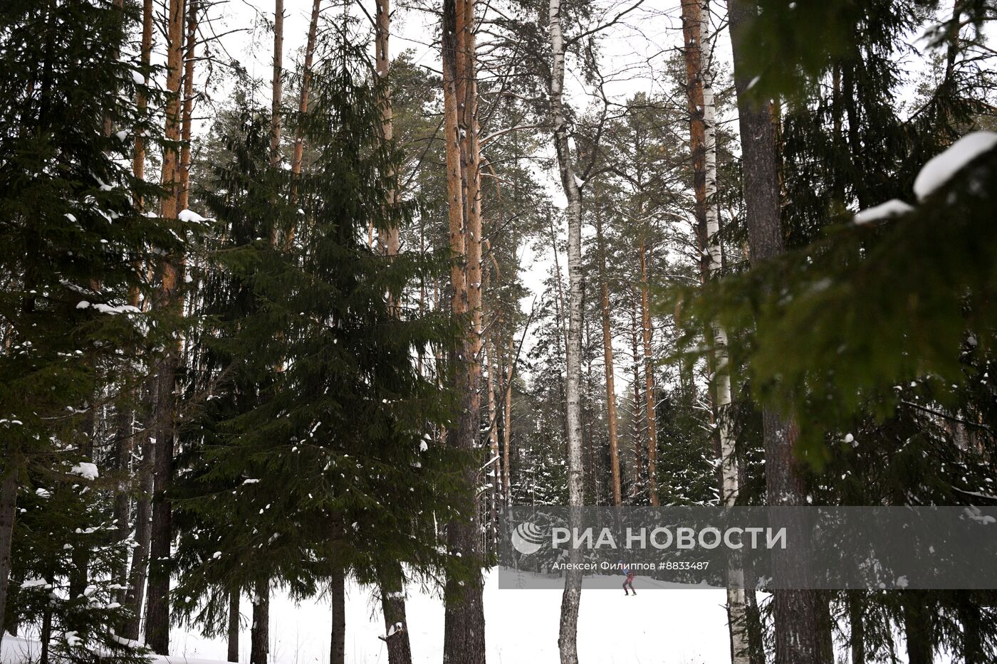 Биатлон. Кубок Содружества. 3 этап. Мужчины. 12,5 км. Гонка преследования