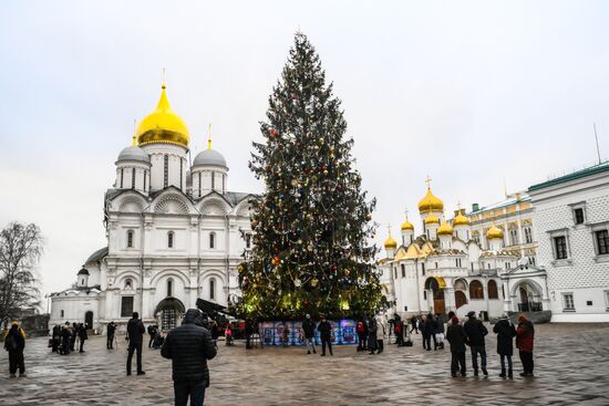 Главная новогодняя елка страны на Соборной площади Московского Кремля