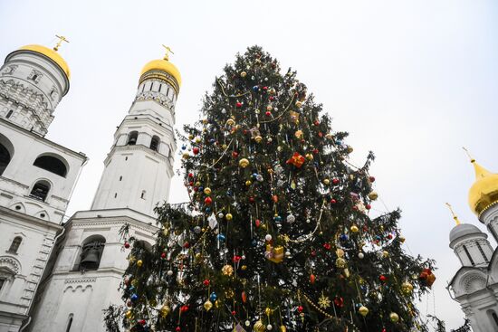 Главная новогодняя елка страны на Соборной площади Московского Кремля